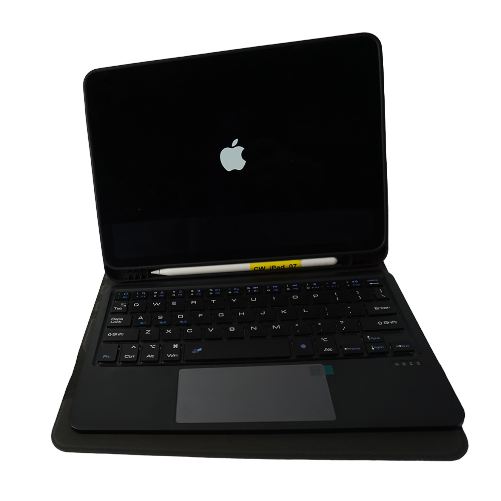 iPad