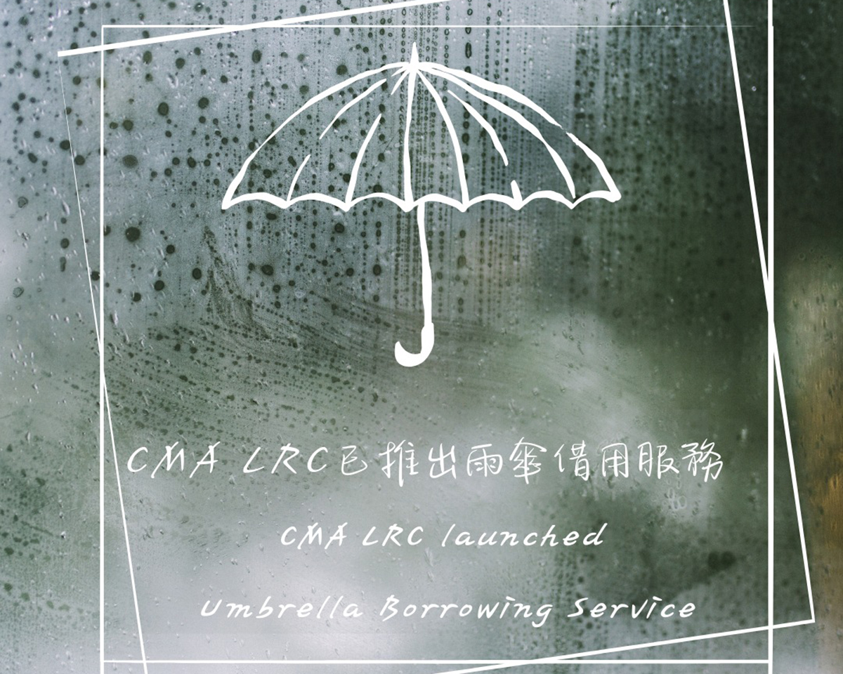 New Borrowing Service - Umbrella